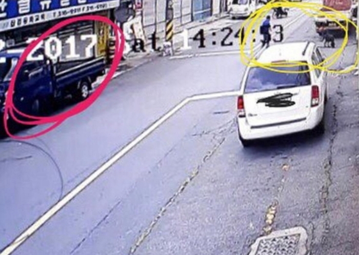 ‘개소주’ 만들려 목줄 풀린 남의 반려견 훔쳐 죽인 50대 남성