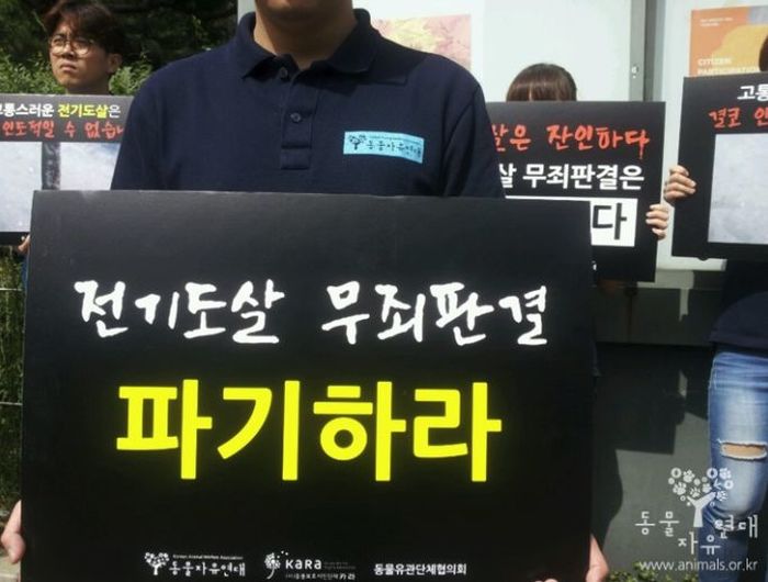 강아지 ‘전기도살’ 무죄판결 받게 한 검사를 고발한 동물보호단체