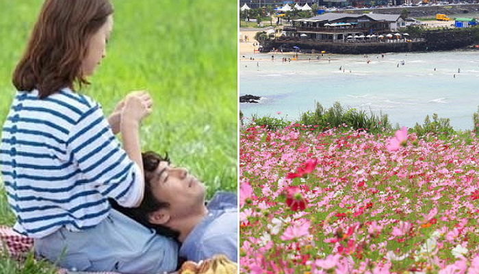 황금연휴 막바지인 내일(8일), 전국 포근한 가을 날씨 이어진다