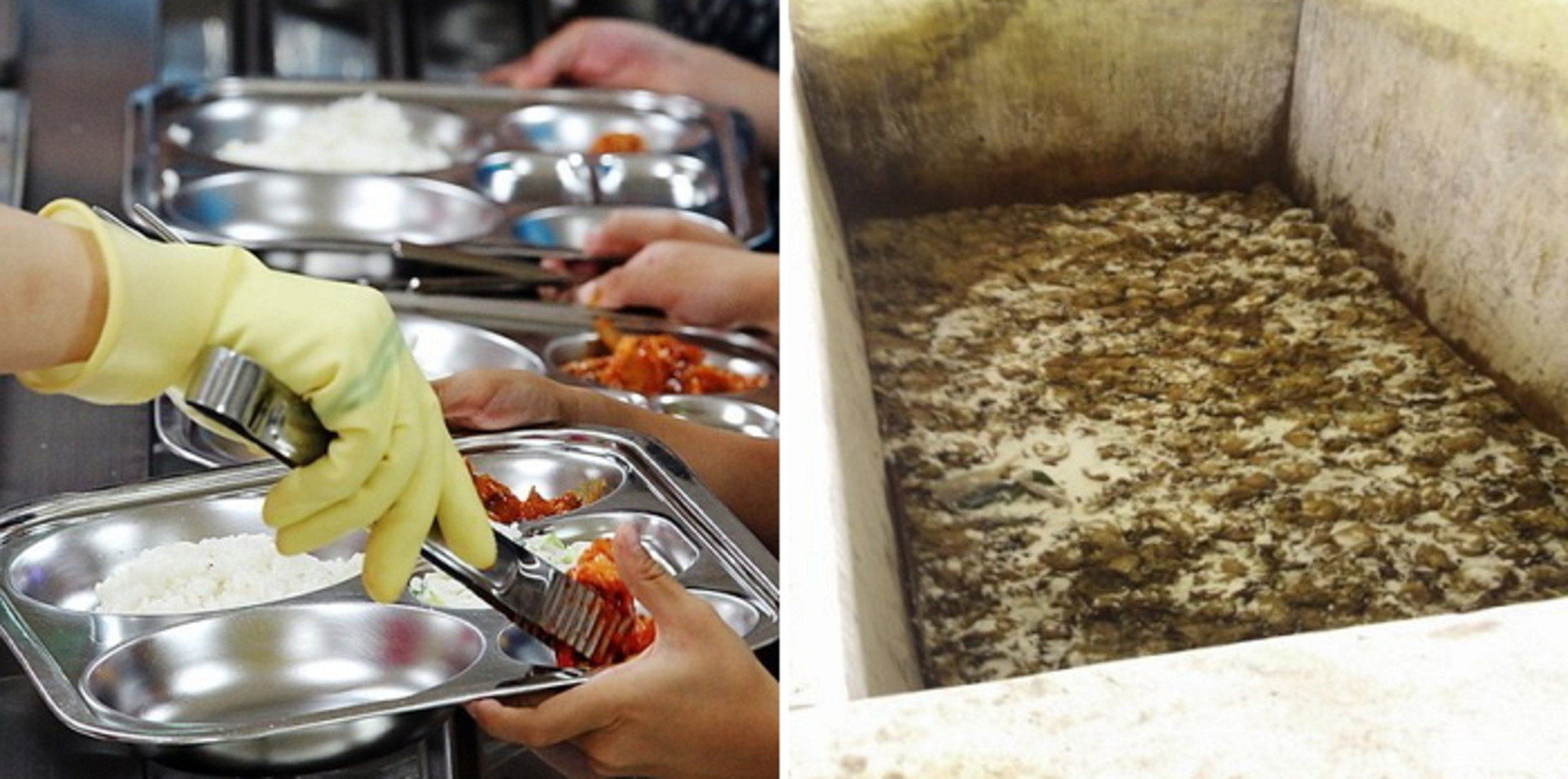 학교 급식'에 들어오는 중국산 김치, 쓰레기로 뒤덮인 시설서 만들어진다 - 인사이트