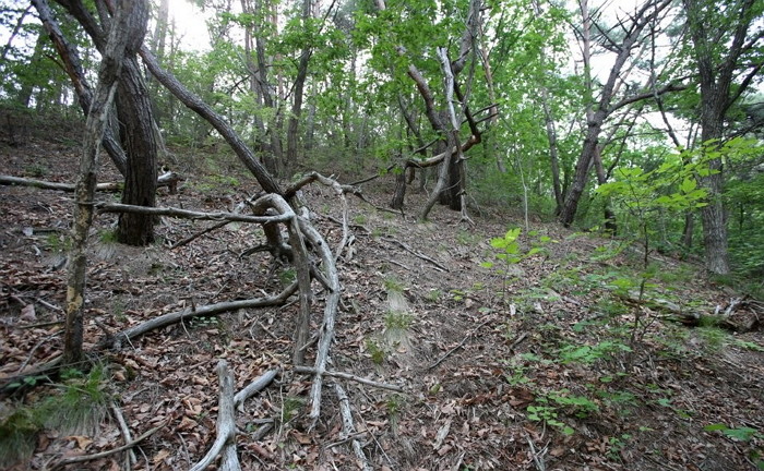 2년 전 죽은 아들 무덤 곁에서 나란히 누운 채 숨진 장애인 부부