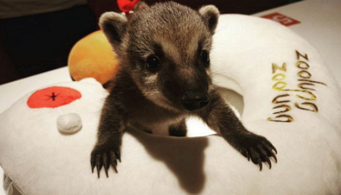 연인과 이색 데이트하기 좋은 실내 동물원 하남 ‘주렁주렁’