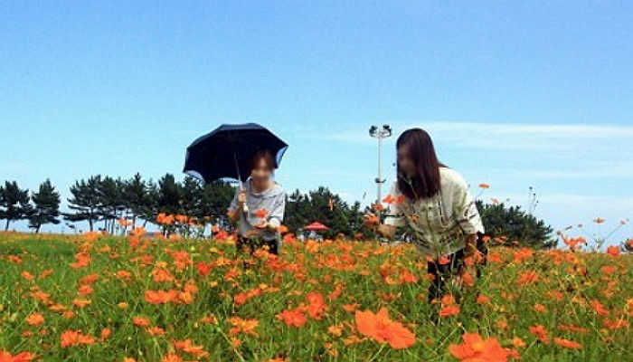 “나들이 떠나기 좋아요”…내일(27일) 포근하고 완연한 ‘가을 날씨’