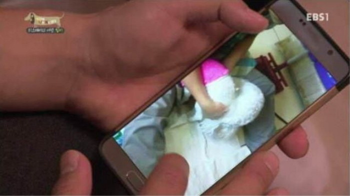 애견 샵에서 ‘성폭행’ 당한 후 주인 손길 거부하는 강아지 (영상)