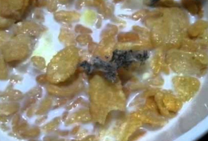 동서식품 시리얼에서 ‘검은색 털’ 같은 이물질 또 나왔다