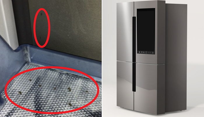 ‘날파리 냉장고’ 불만에 “계피 놓아라” 말했다 뭇매 맞은 삼성전자