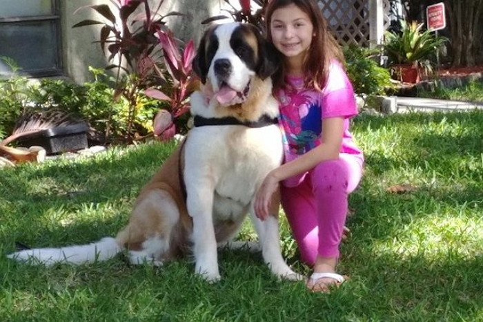 반려견은 깜깜한 세상에 갇힌 소녀 주인을 다시 걷게 만들었다