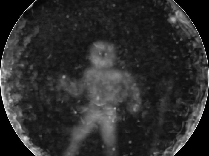 돌고래가 초음파로 바라보는 인간의 모습은 이렇다