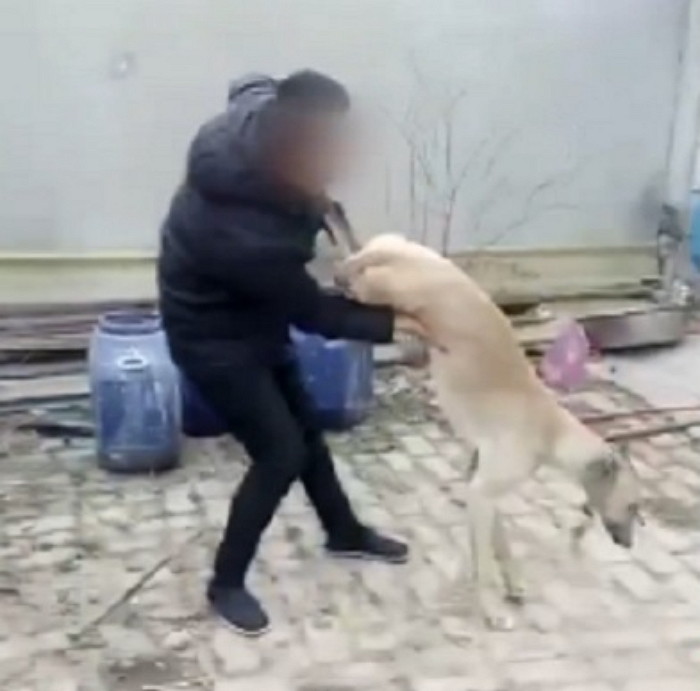 반려견이 경주에서 져서 ‘돈 잃자’ 바닥에 내동댕이 쳐 죽인 남성