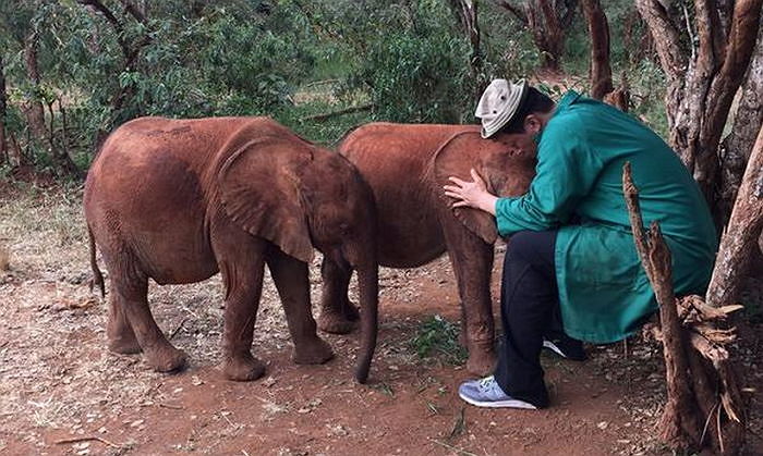“코끼리는 인간을 ‘귀여운 강아지’라고 생각한다”