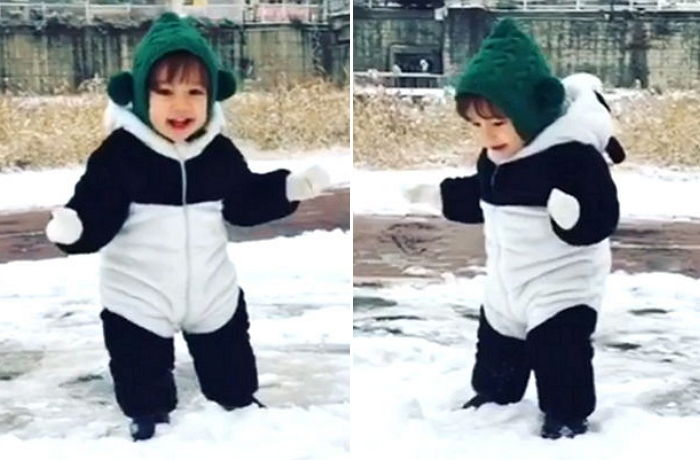 올해 처음 눈보고 신나 팬더옷 입은 채 방방 뛰어노는 ‘세젤귀’ 레오 (영상)