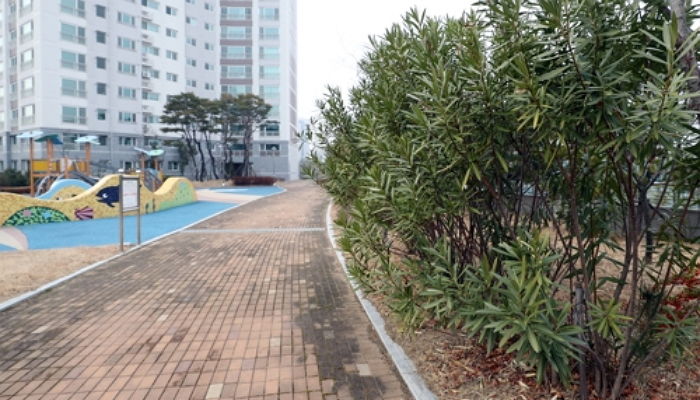 어린이 놀이터 옆에 빽빽하게 심겨있는 ‘청산가리 6천배’ 맹독 나무