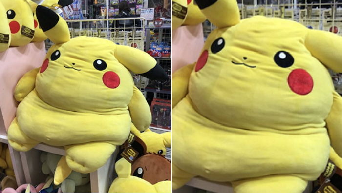 “피카츄 사려고 인형가게 갔다가 이국츄를 만났어요”