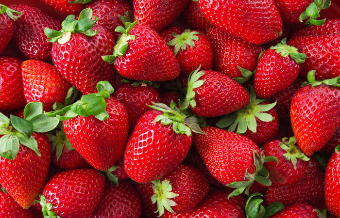 겨울제철 딸기, 가격 ‘2배’ 이상 올라 ‘금딸기’ 됐다