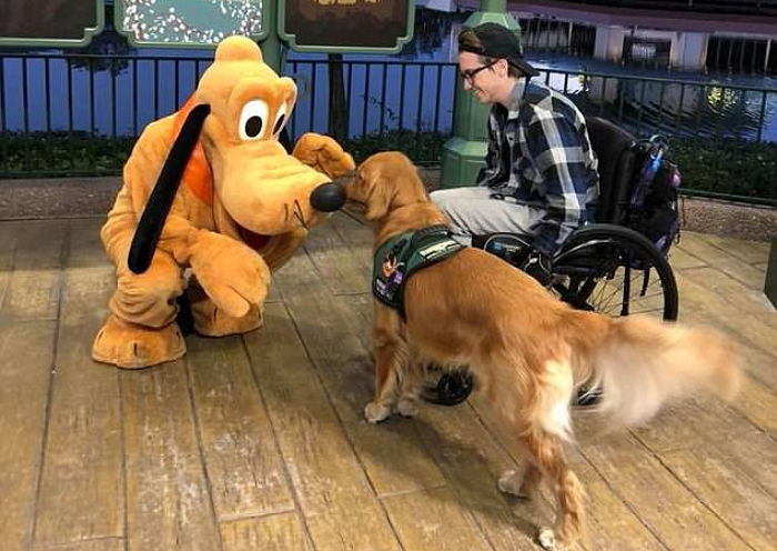 디즈니 랜드서 ‘최애’ 캐릭터 만나자 너무 좋아 ‘뽀뽀세례’ 퍼붓는 멍멍이 (영상)