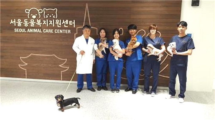 “서울시, 주인 죽거나 아파 홀로 남겨진 반려동물들 보호해준다”