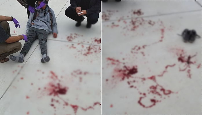학교폭력에서 구해달라는 ‘왕따 학생’의 간절한 부탁 무시한 선생님