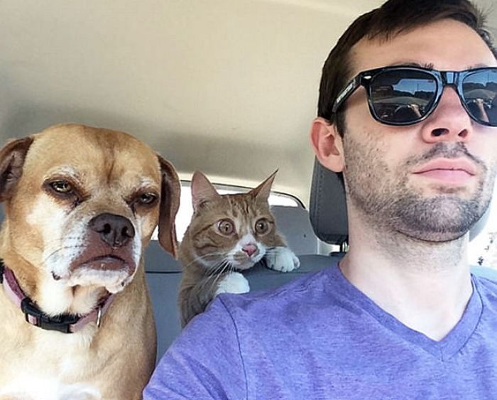 놀러 가자던 아빠가 ‘동물병원’ 향할 때 보이는 강아지·고양이의 리얼 반응