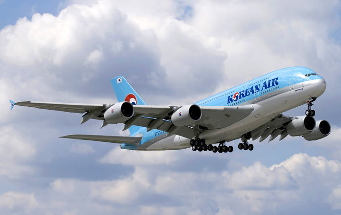 대한항공 기내 청소원 6명 ‘살충 소독제’ 중독돼 집단 실신