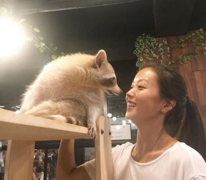 인사이트