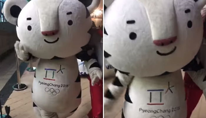 인사이트