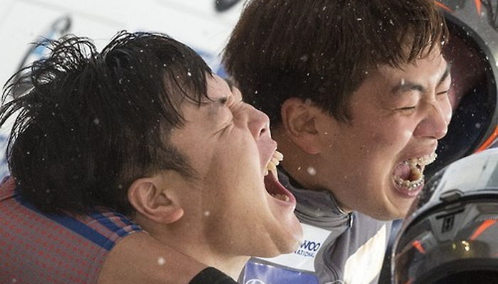 인사이트