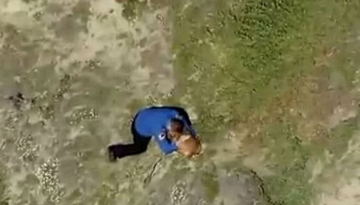 절벽에서 떨어져 죽은 주인 옆에서 도와달라고 울부짖는 강아지