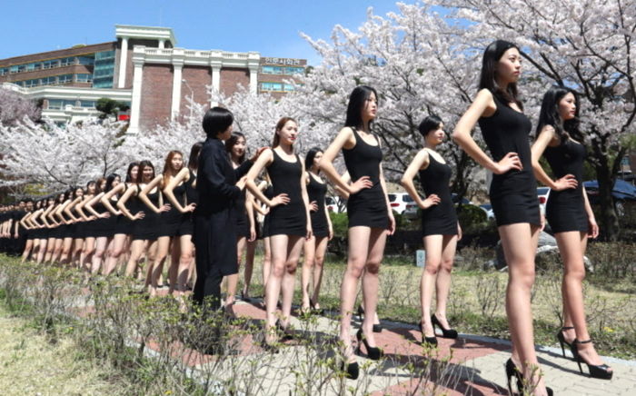 딱 한달 뒤 볼 수 있는 ‘벚꽃 워킹’하는 대덕대학교 모델학과 학생들 (사진 7장)