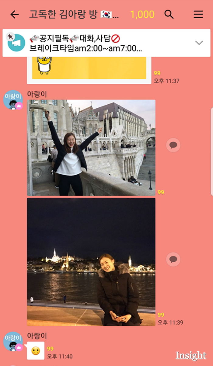 인사이트