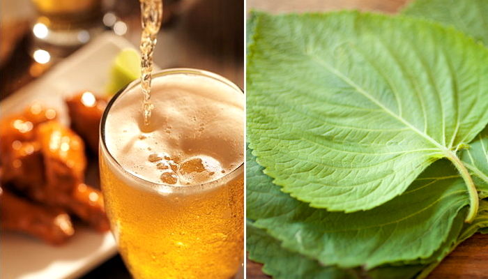 “알싸하고 고소한 한정판 ‘깻잎 맥주’ 나온다”