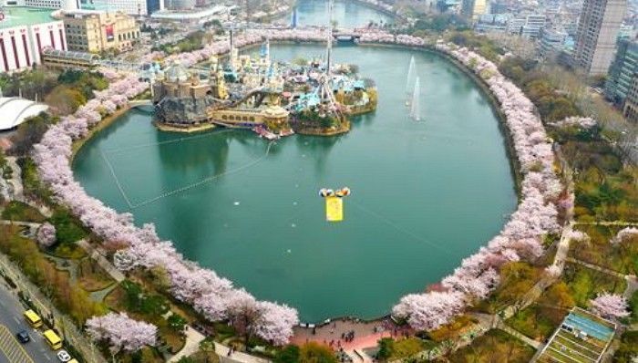 7 Festival Musim Semi Paling Seru Dan Wajib Dikunjungi Di Korea Selatan