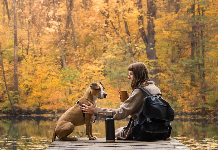 “주인아 응가 치워라” 댕댕이 키우는 사람은 뼈저리게 공감하는 일러스트