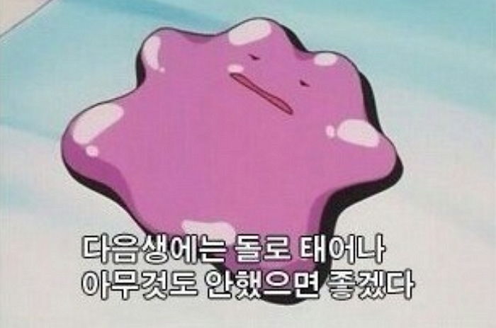인사이트