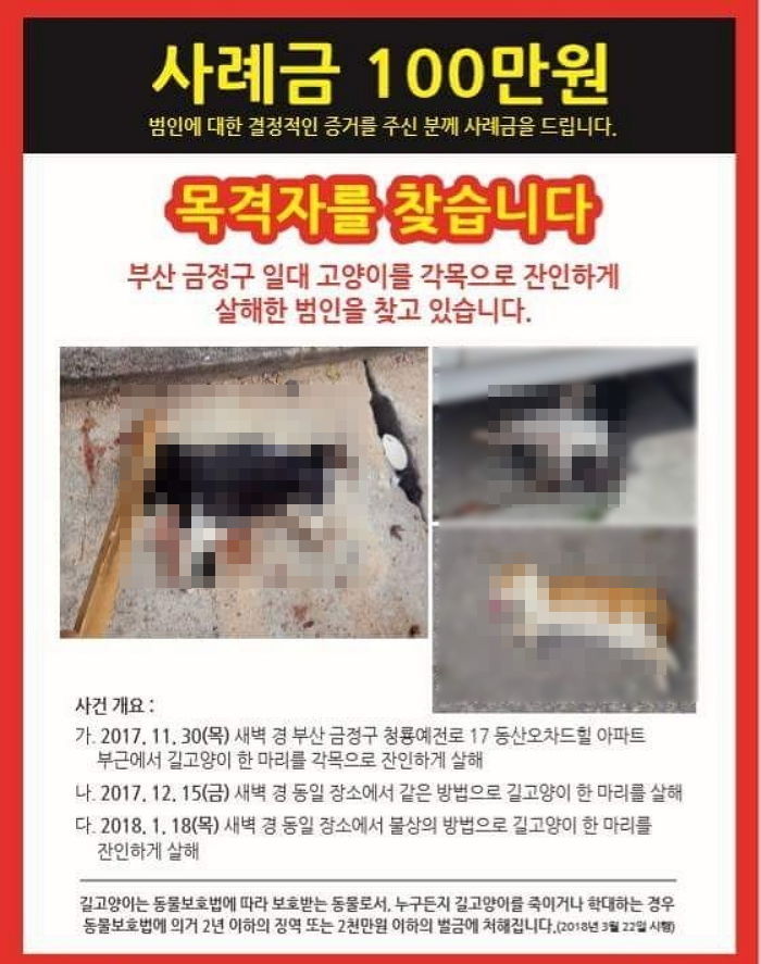 “부산서 길고양이 각목으로 살해한 범인을 찾습니다”
