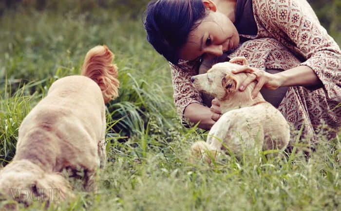 한평생 함께할 반려견 입양하기 전 당신이 꼭 알아둬야 할 5가지