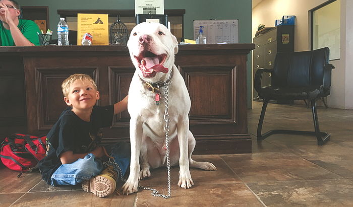 “너무 커 입양을 고민했던 강아지가 ‘아들’의 생명을 구했어요”