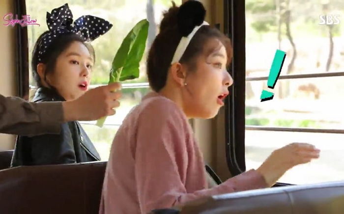 기린 먹일 ‘풀때기’ 보고 깜짝 놀란 세젤귀 아이린