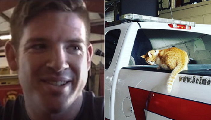 불 끄러 갔다가 소방차에 탄 길냥이 ‘강제 냥줍’한 훈남 소방관