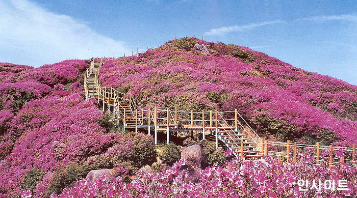 ‘지리산 바래봉 철쭉제 패키지’ 선보인 켄싱턴리조트 지리산 남원