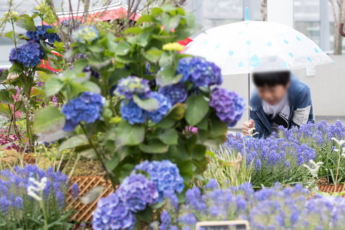 “우산 꼭 챙기세요”…내일(23일) 천둥·번개 동반한 ‘폭우’ 내린다