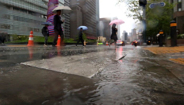 “유기견인줄 알고 데려다 키웠는데 ‘절도죄’가 되나요?”