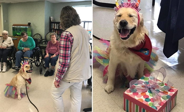 생일파티 해준 할머니에게 고마워 쓰담쓰담하라고 머리 내준 천사 ‘인절미’