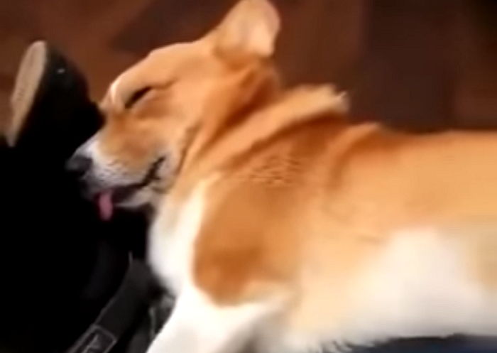 “자고 있는데 브라질리언 왁싱(?)을 당해버렸습니다”