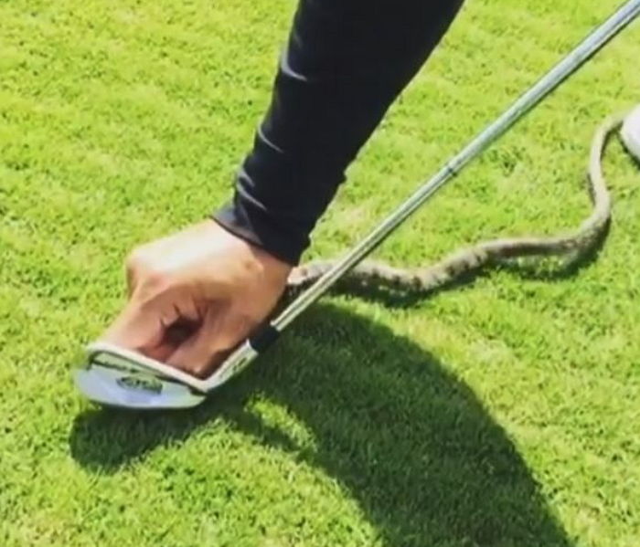 이승엽과 골프 치다 발견한 독사 ‘맨손’으로 잡고 좋아하는 박찬호