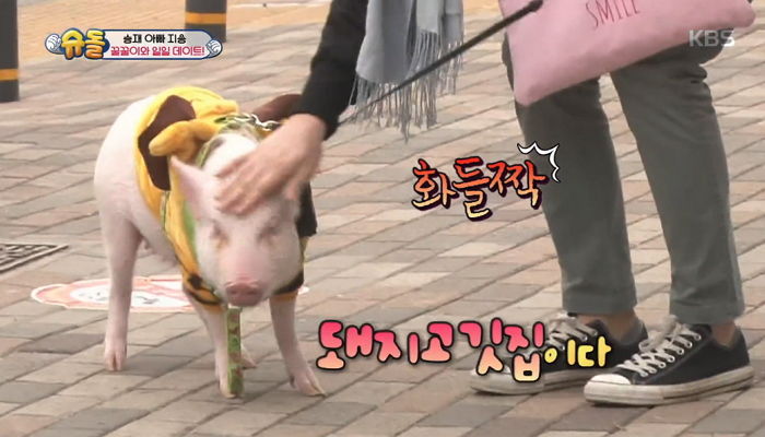 아기 돼지랑 산책 중 정육점 나오자 온몸으로 가려주는 ‘배려 요정’ 승재