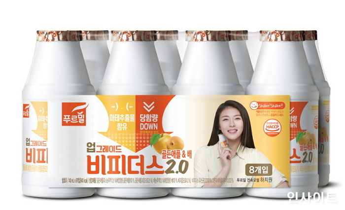 인사이트