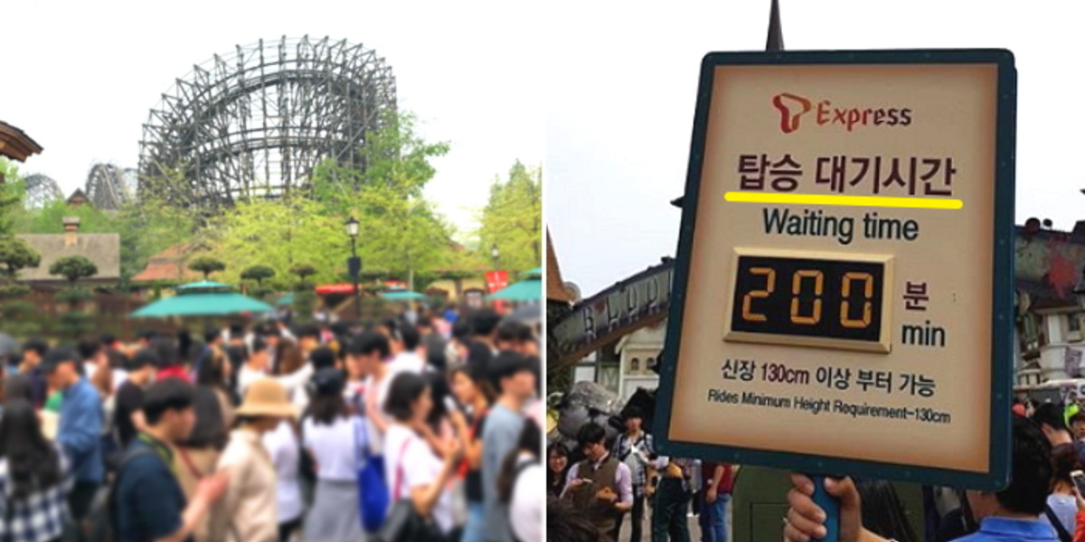 “데이트 왔는데 무한대기ㅠ” 눈치게임 실패한 오늘자 롯데월드·에버랜드 상황