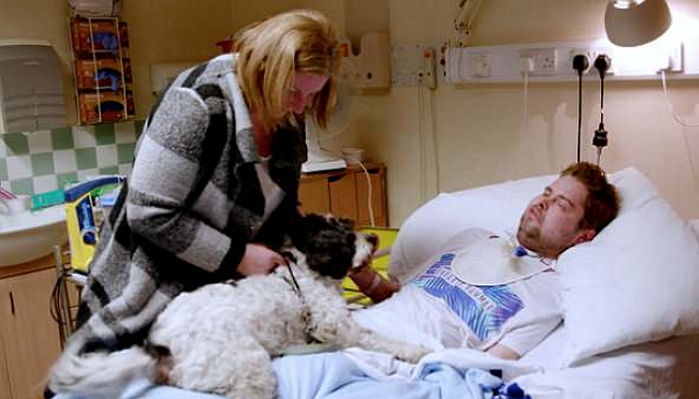 시한부 주인의 죽음을 직감한 강아지는 미친 듯이 꼬리 흔들며 울어댔다