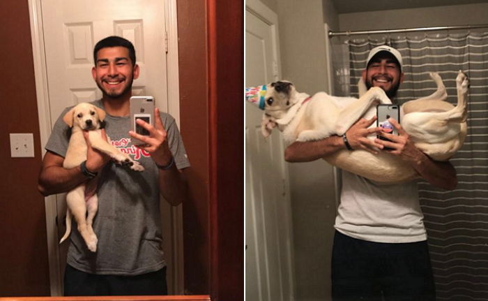 “우리집 ‘뽀시래기’가 1년 만에 ‘거대곰’처럼 변했습니다”