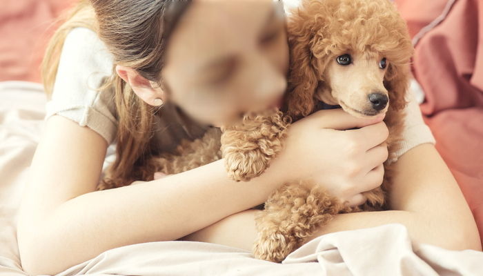 개 안 키우는 사람들은 절대 이해할 수 없는 ‘개 키우는 사람’ 특징